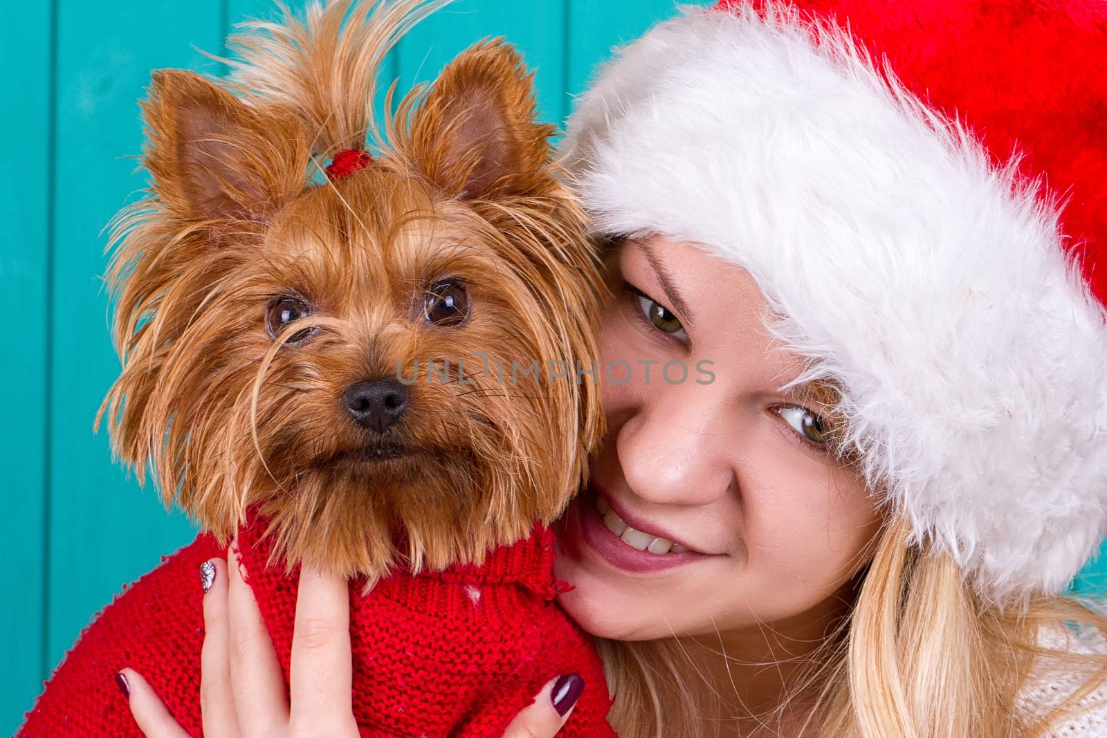 Beautiful girl in santa cap with yorkie dog in red sweater