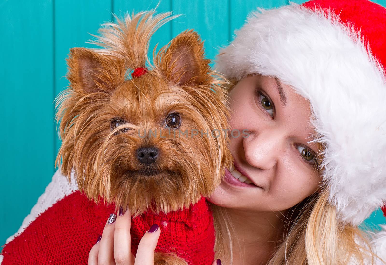 Beautiful girl in santa cap with yorkie dog in red sweater