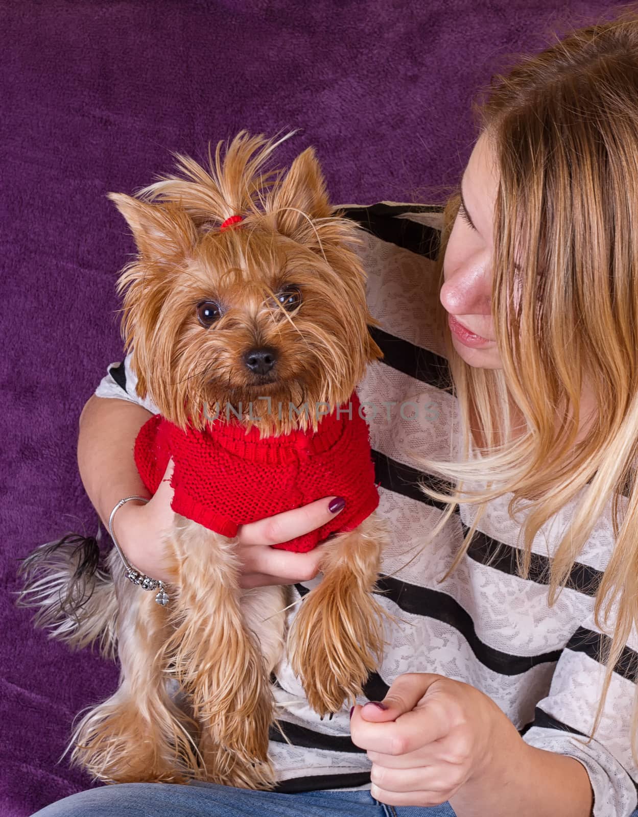 Cheerful beautiful young girl having fun with dog Yorkshire terrier