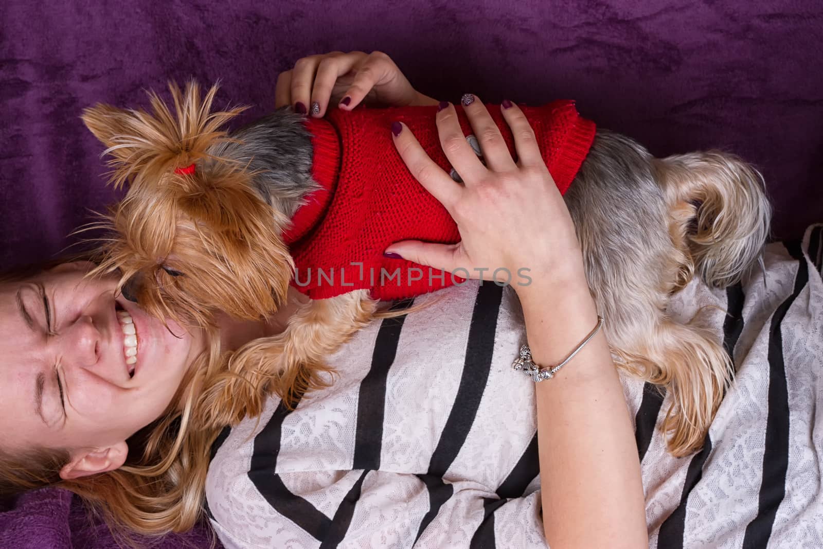 Beautiful young girl playing with her yorkshire terrier at home laying down at sofa and kissing her pet