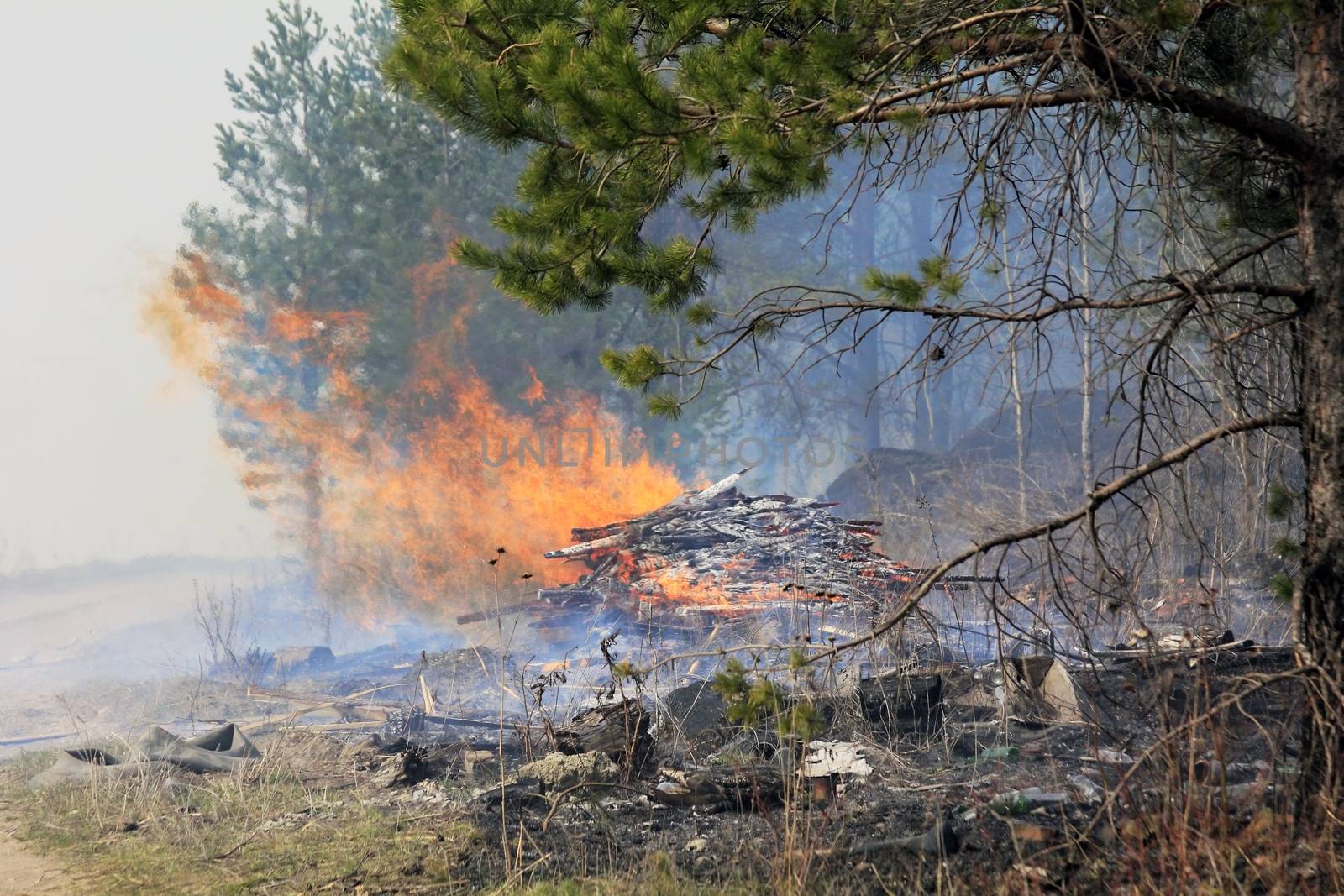 The image of a fire in a forest