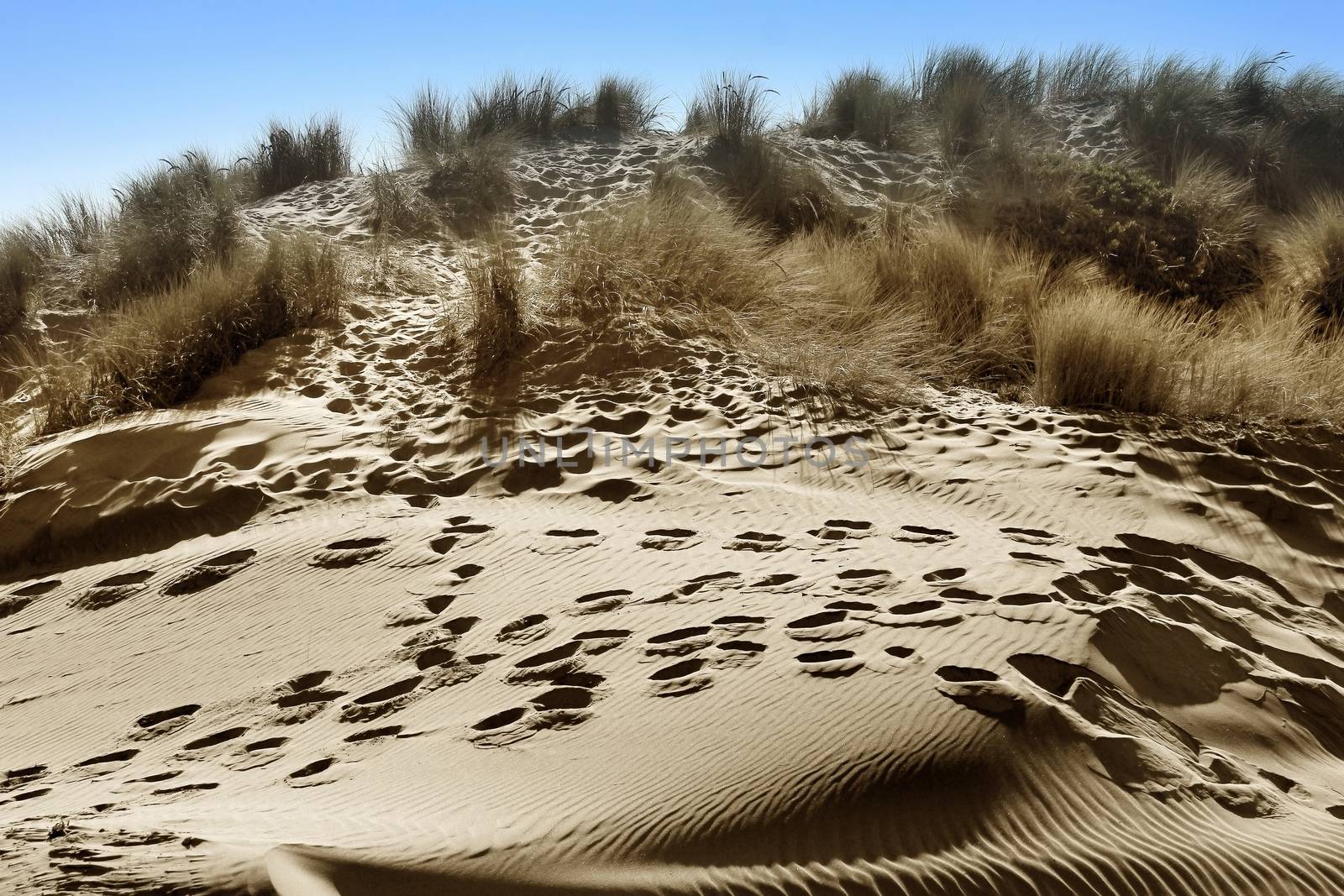 Sand dunes with footprints on a beach in California