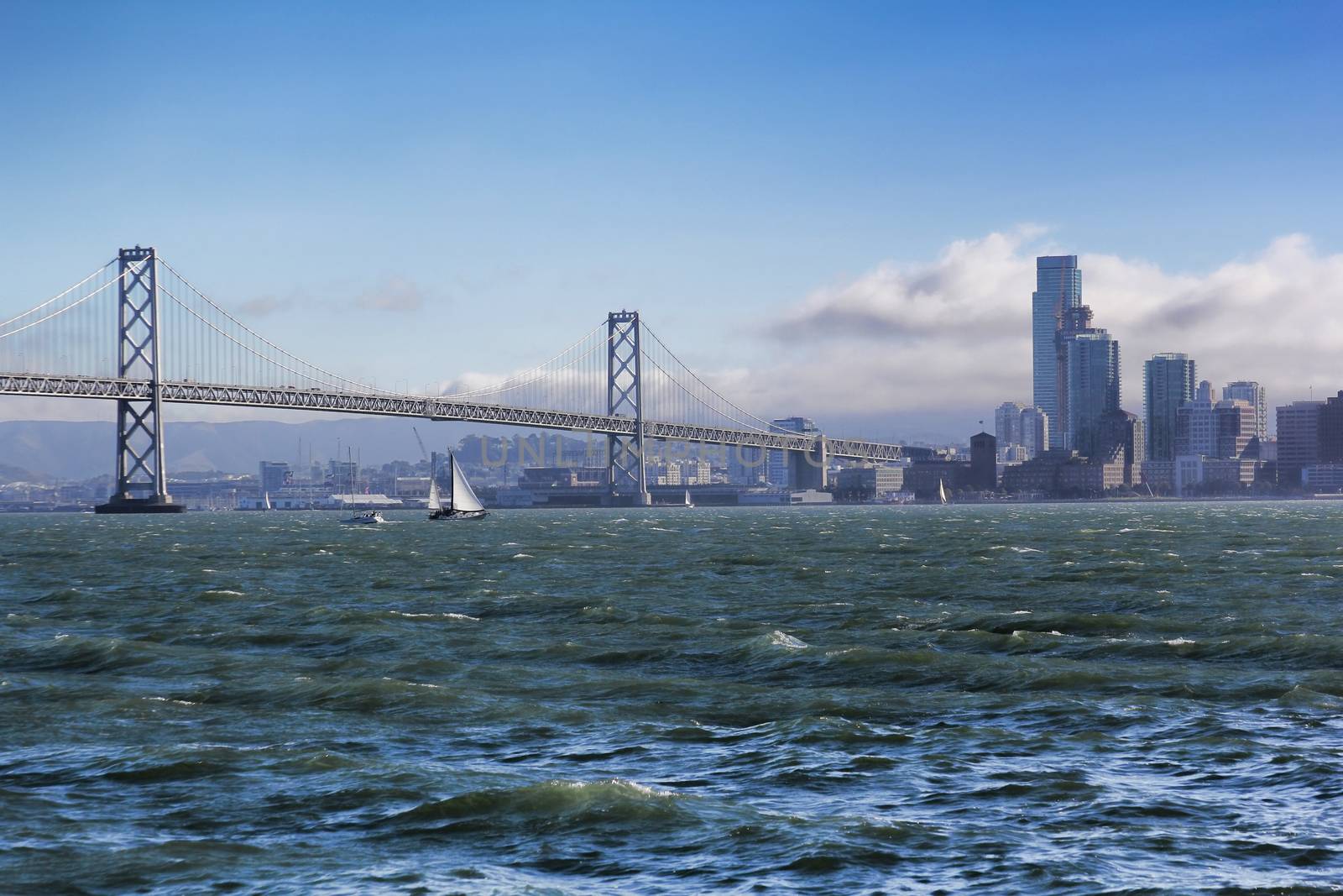 Bay Bridge and sailfish in San Francisco