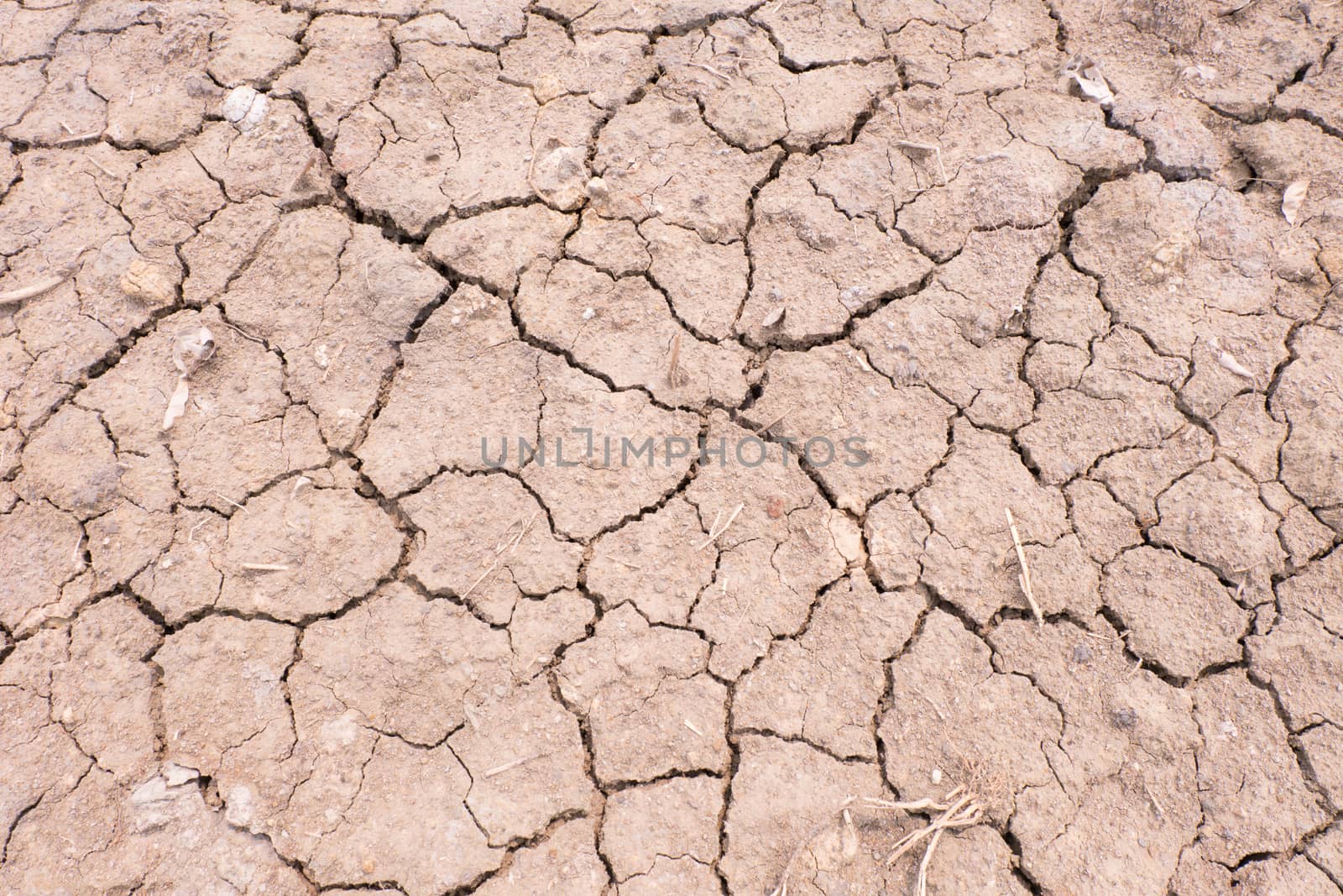 Dry cracked earth texture by Soranop01