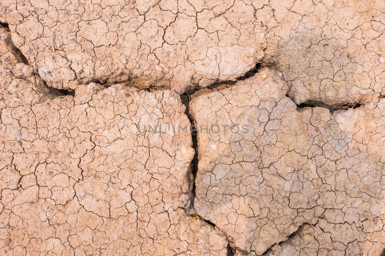 The Dry cracked earth texture
