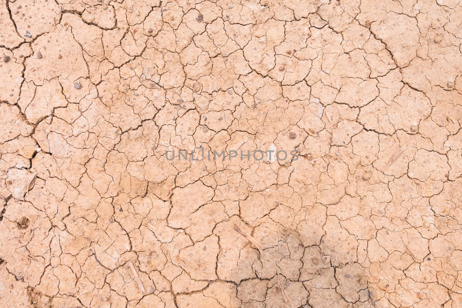 The Dry cracked earth texture