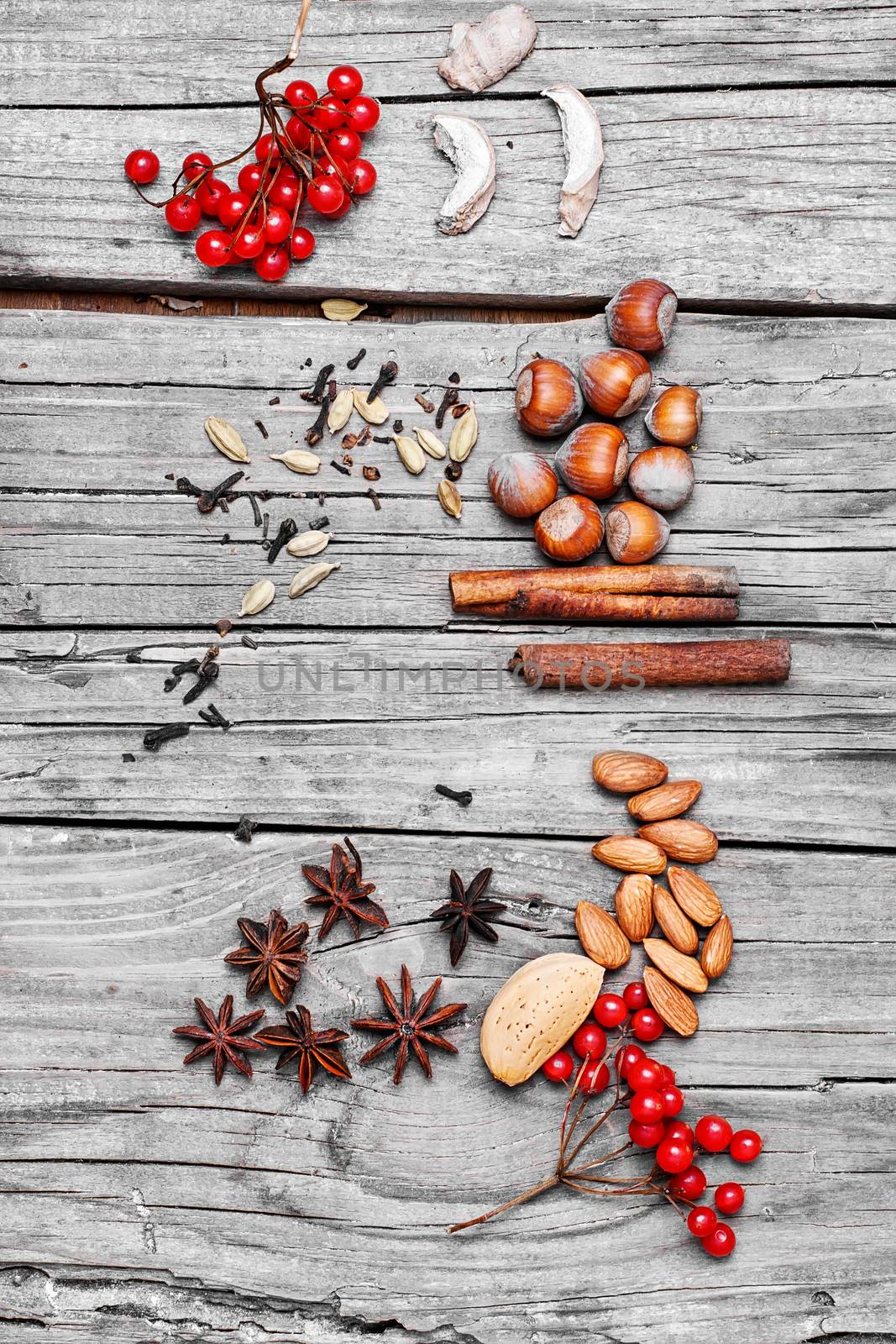 Cinnamon,cardamom,anise,ginger-set of spices for mulled wine and sangria