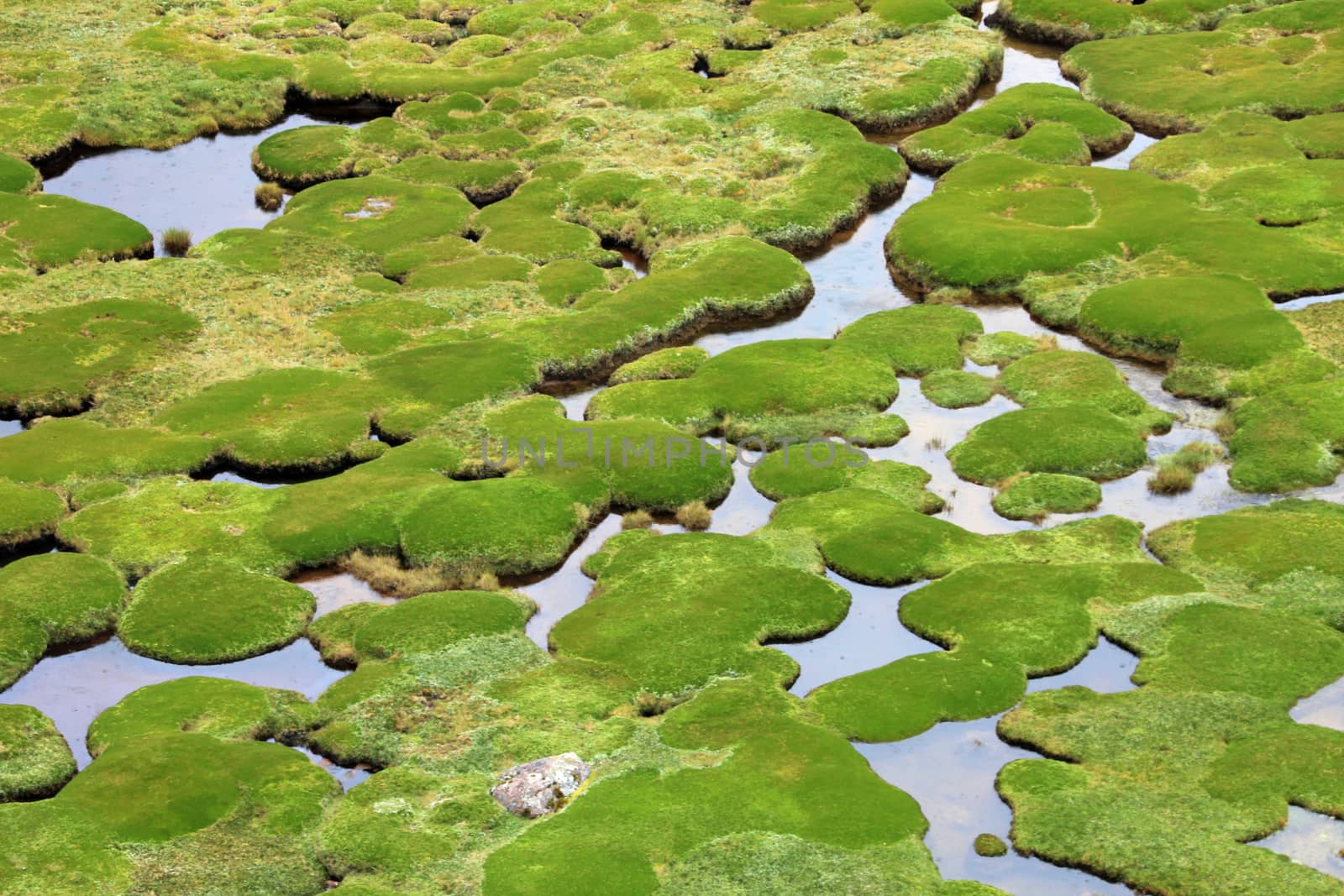 Water holes in the fields of the peruvian andes, the water is nicely forming bends and holes