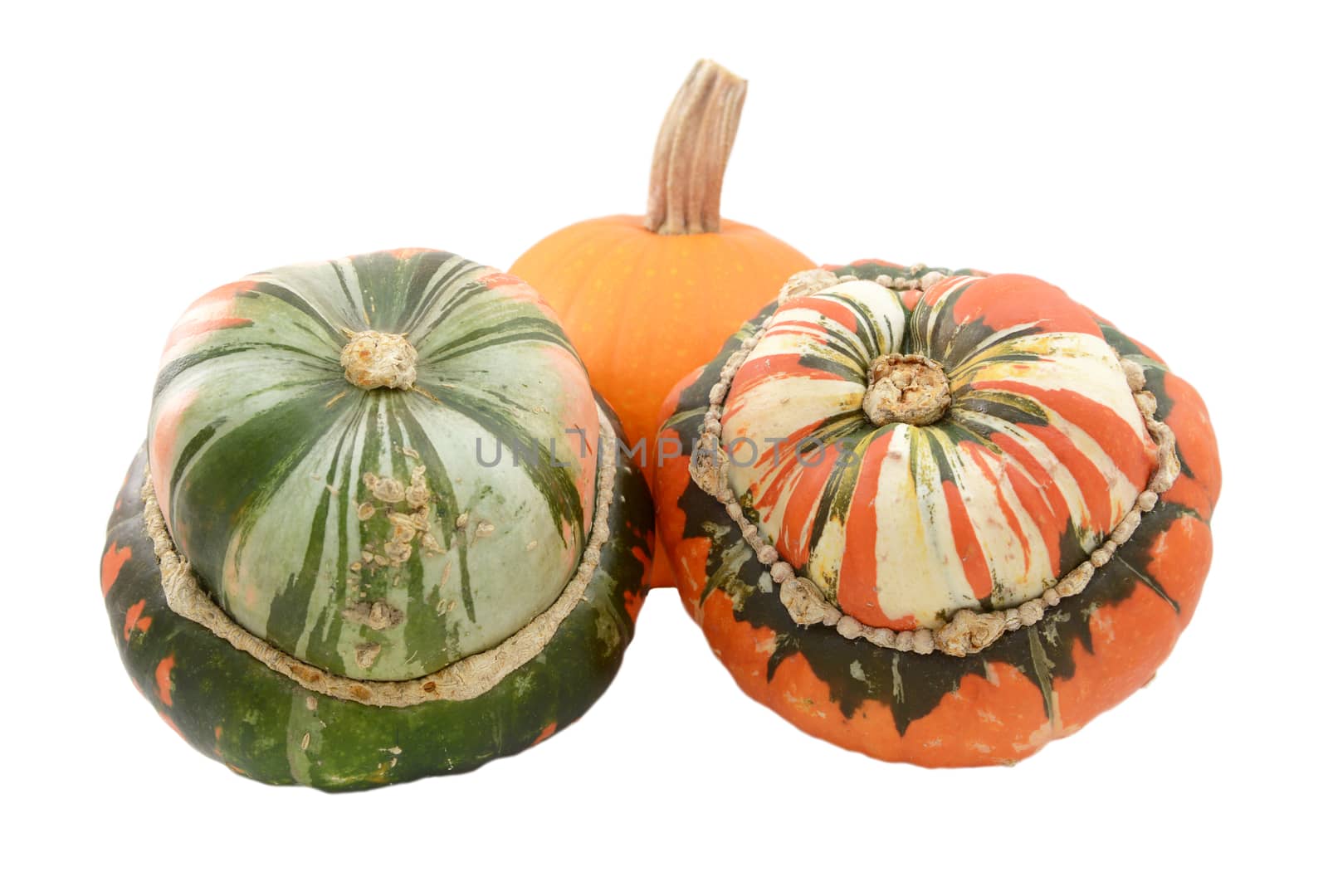 Two Turks turban squash with a small orange pumpkin, isolated on a white background
