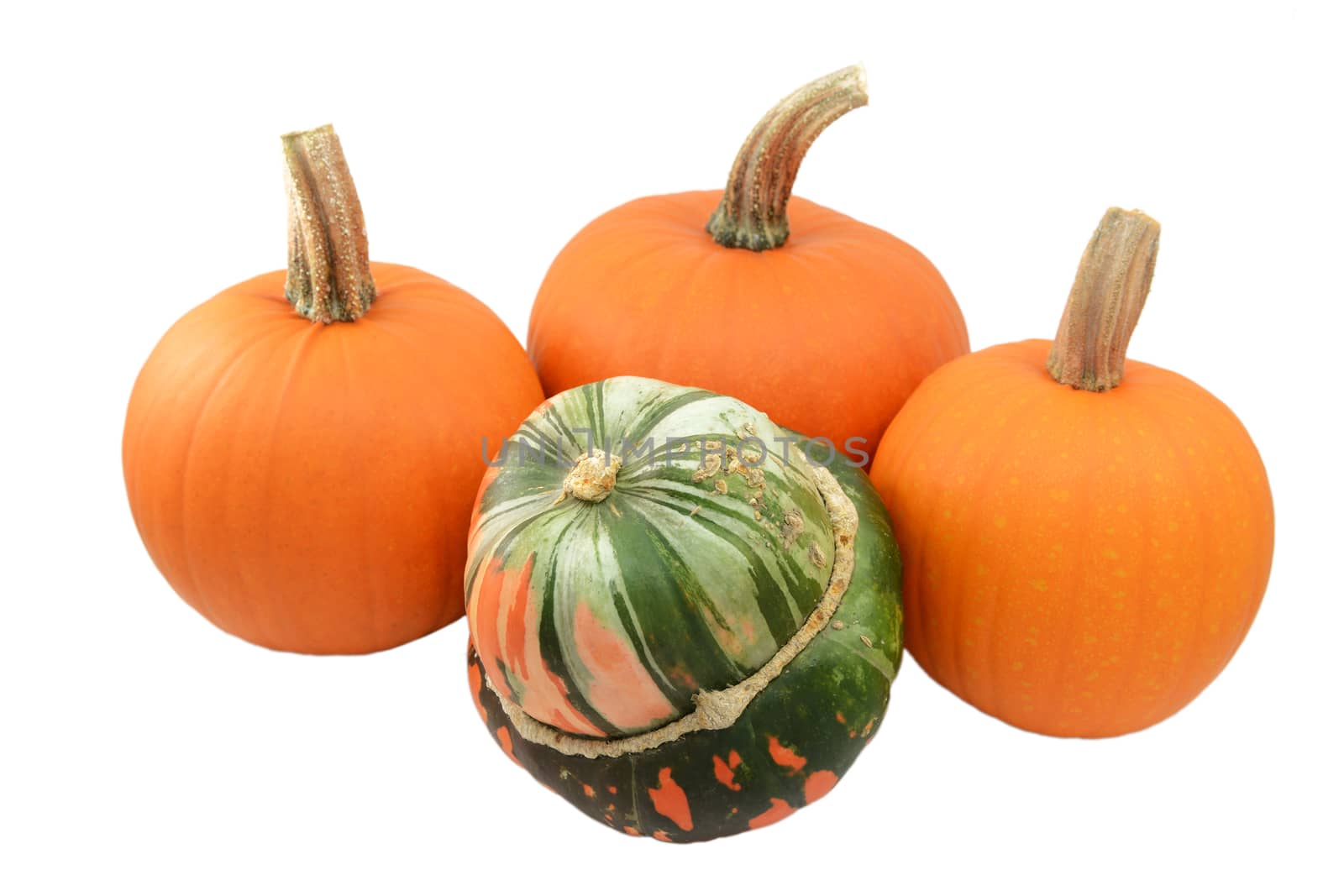 Green and orange Turks turban squash with three ripe orange pumpkins, isolated on a white background