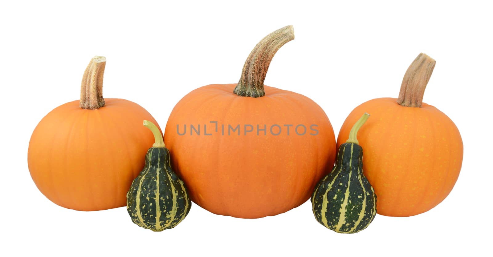 Three orange pumpkins with two green ornamental gourds, isolated on a white background