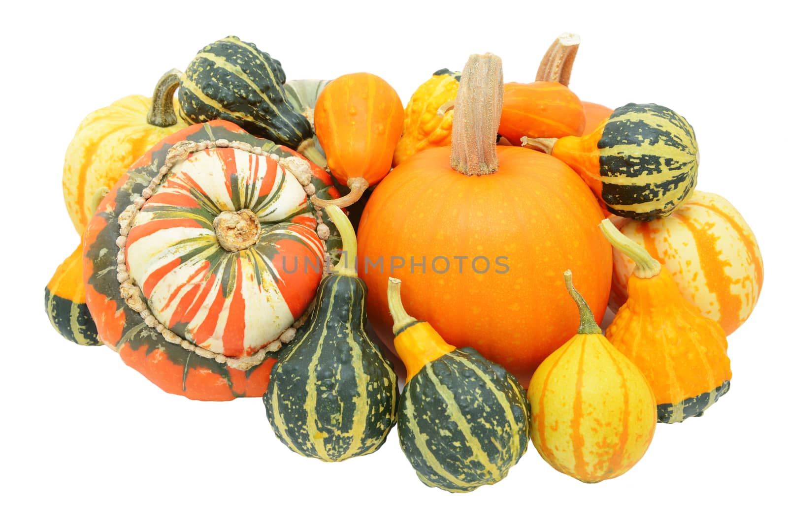 Group of autumnal gourds - pumpkins, Turks turban squash and mixed ornamental gourds - isolated on a white background