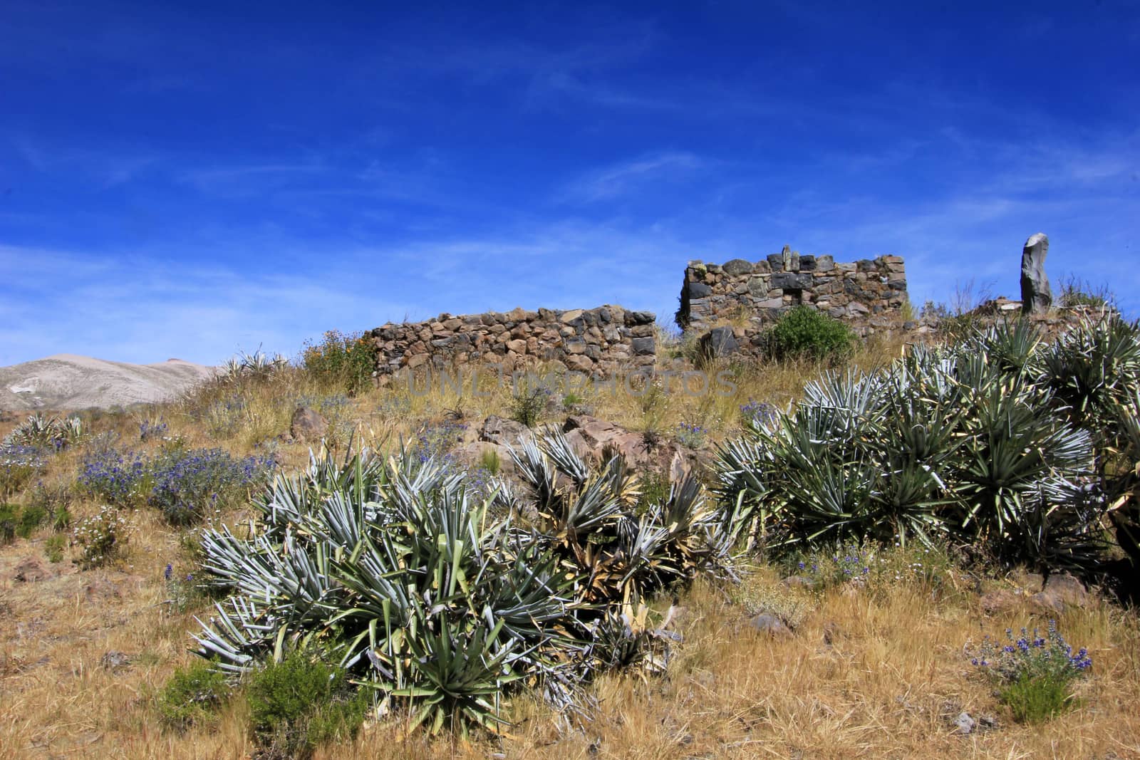 The pre-inca ruins of Maukallacta on the mountain over Puica a peruvian mountain village over the cliffs of the beautiful Cotahuasi Canyon