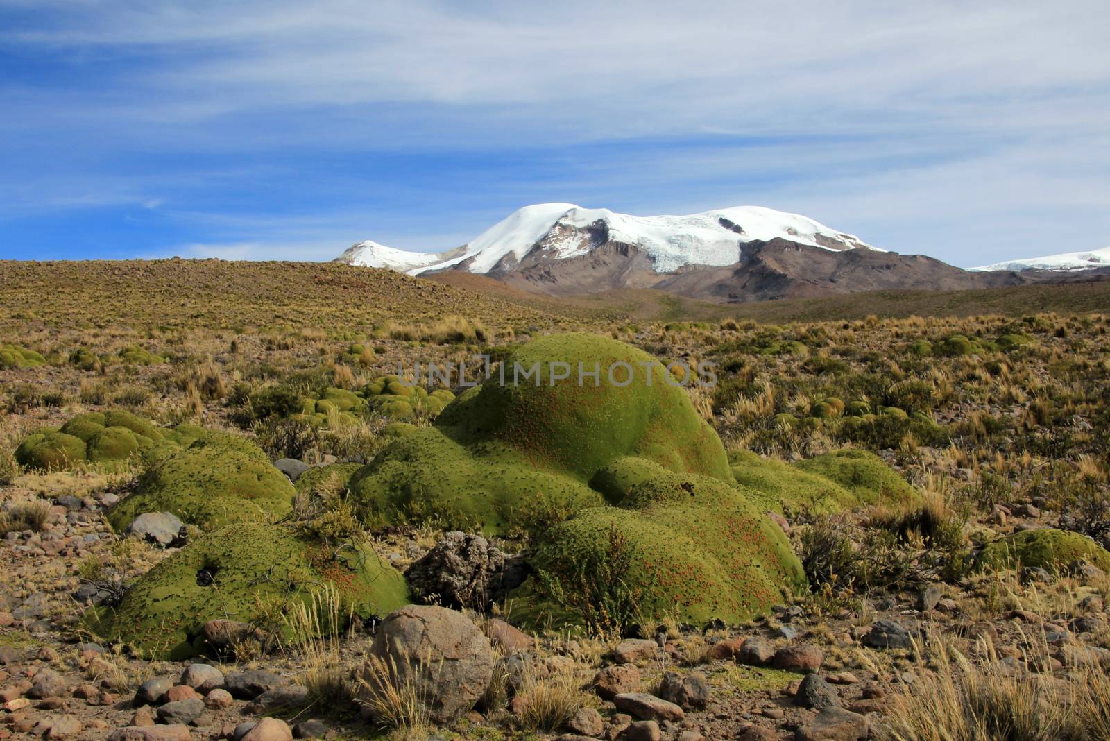 The three peaks of volcano coropuna in the andean mountains of Peru, near cotahuasi canyon