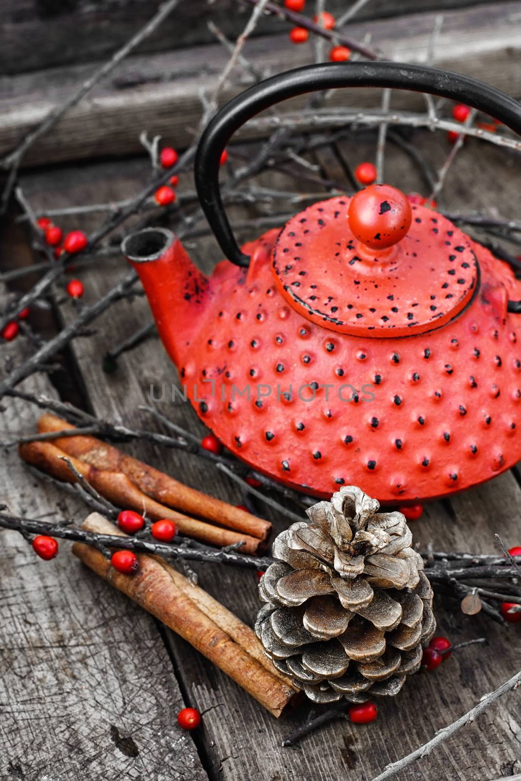 Red kettle,branches with berries and cinnamon sticks