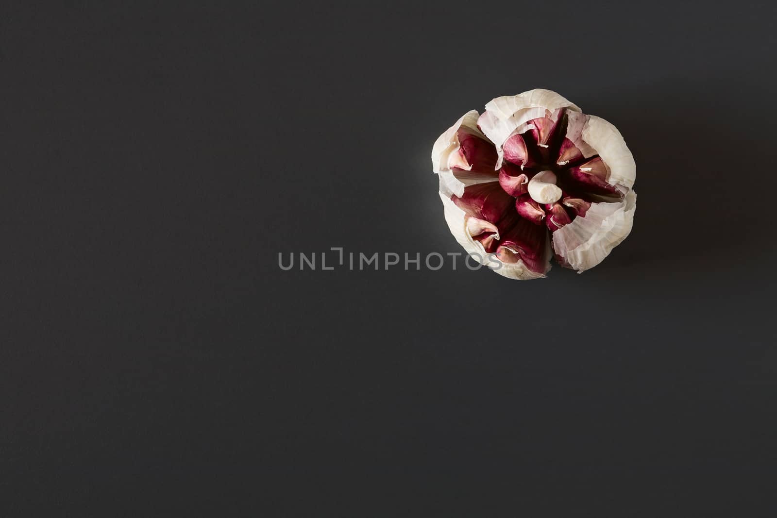 Red garlic over a dark background by LuigiMorbidelli