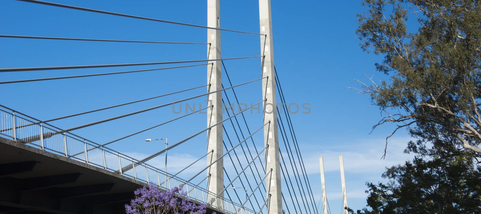View of the Eleanor Schonell Bridge by artistrobd