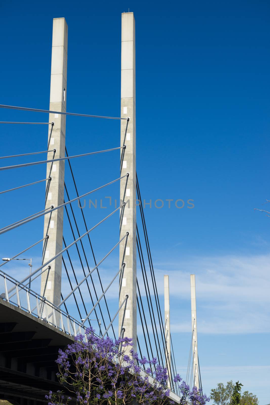 View of the Eleanor Schonell Bridge in Brisbane, Queensland during the afternoon.