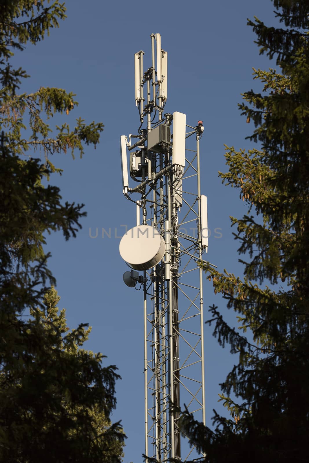 Cellphone Tower with Trees by Emmoth
