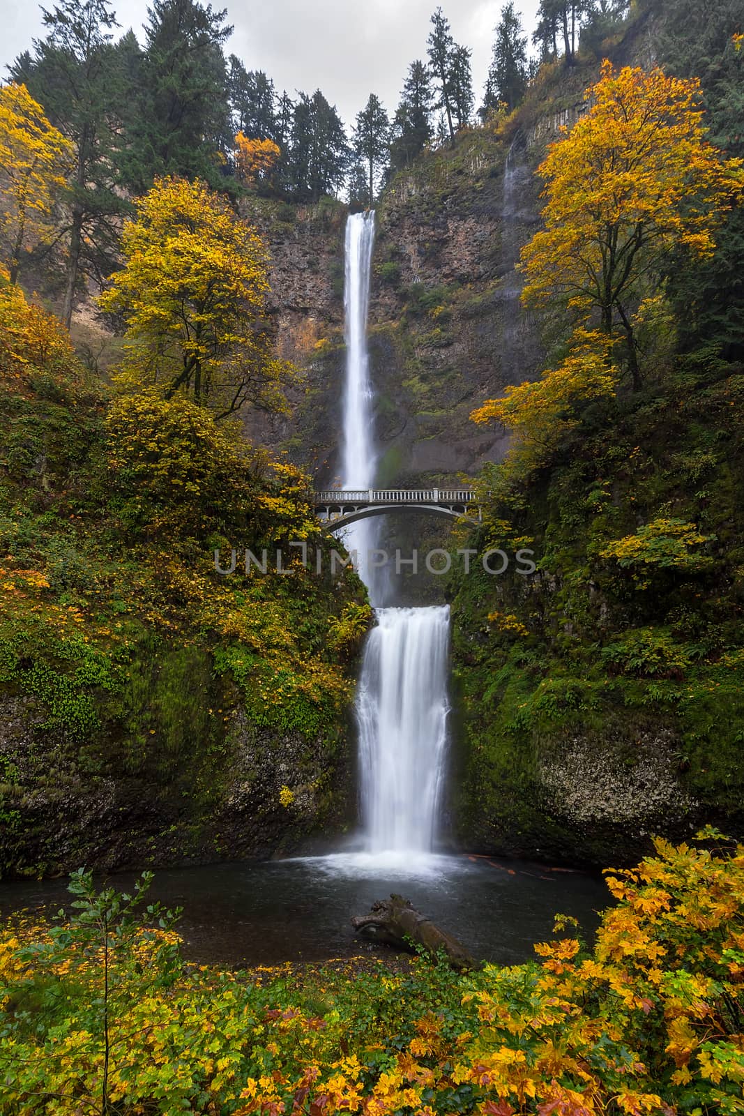 Fall Colors at Multnomah Falls in the Columbia River Gorge in Autumn