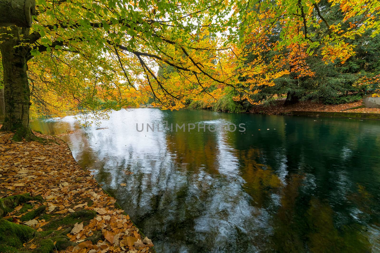 Fall foliage colors at Laurelhurst Park by the lake in Portland Oregon City in Autumn Season