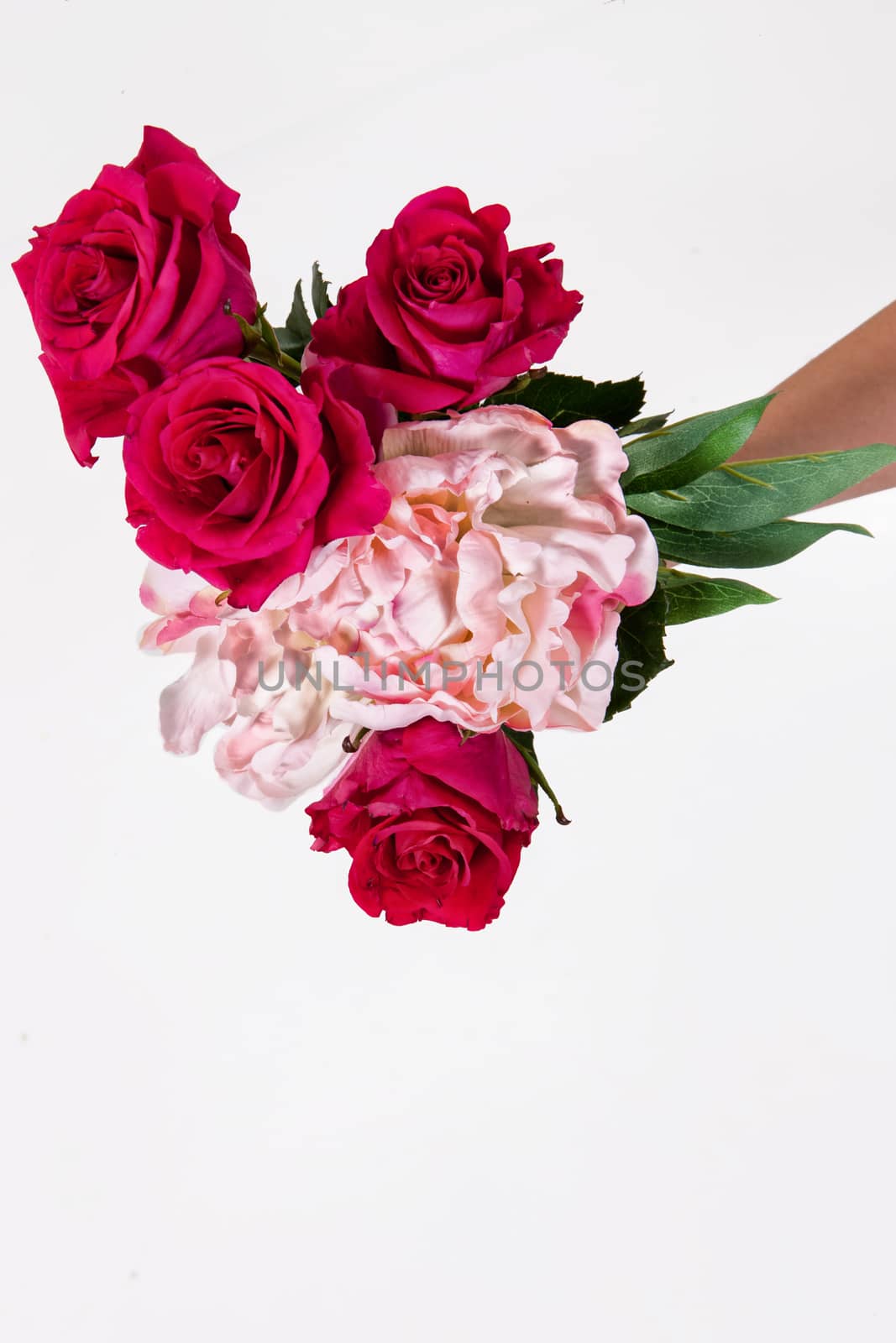 Hand holding a bouquet of different flowers on an isolated studio background