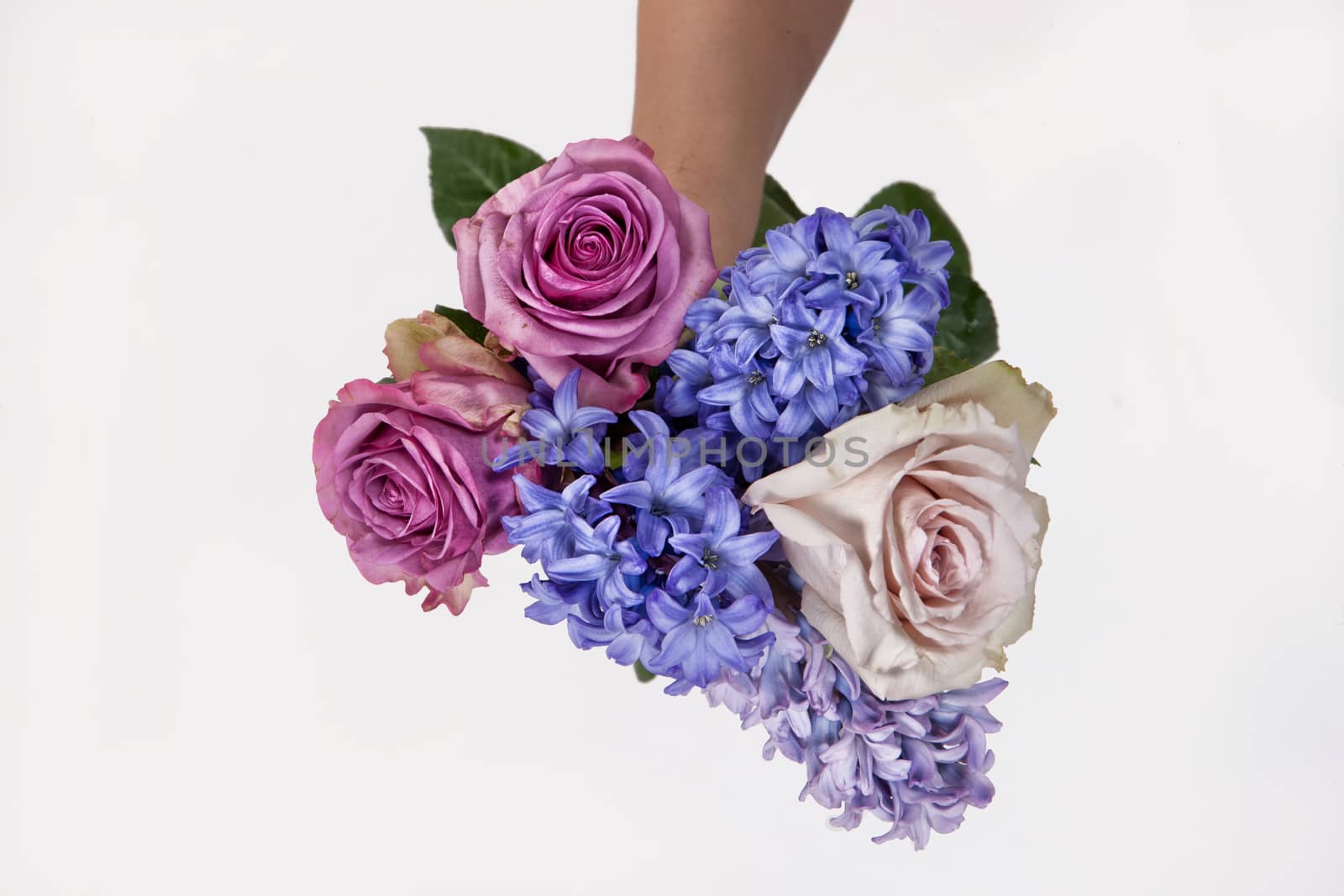 Hand holding a bouquet of different flowers on an isolated studio background