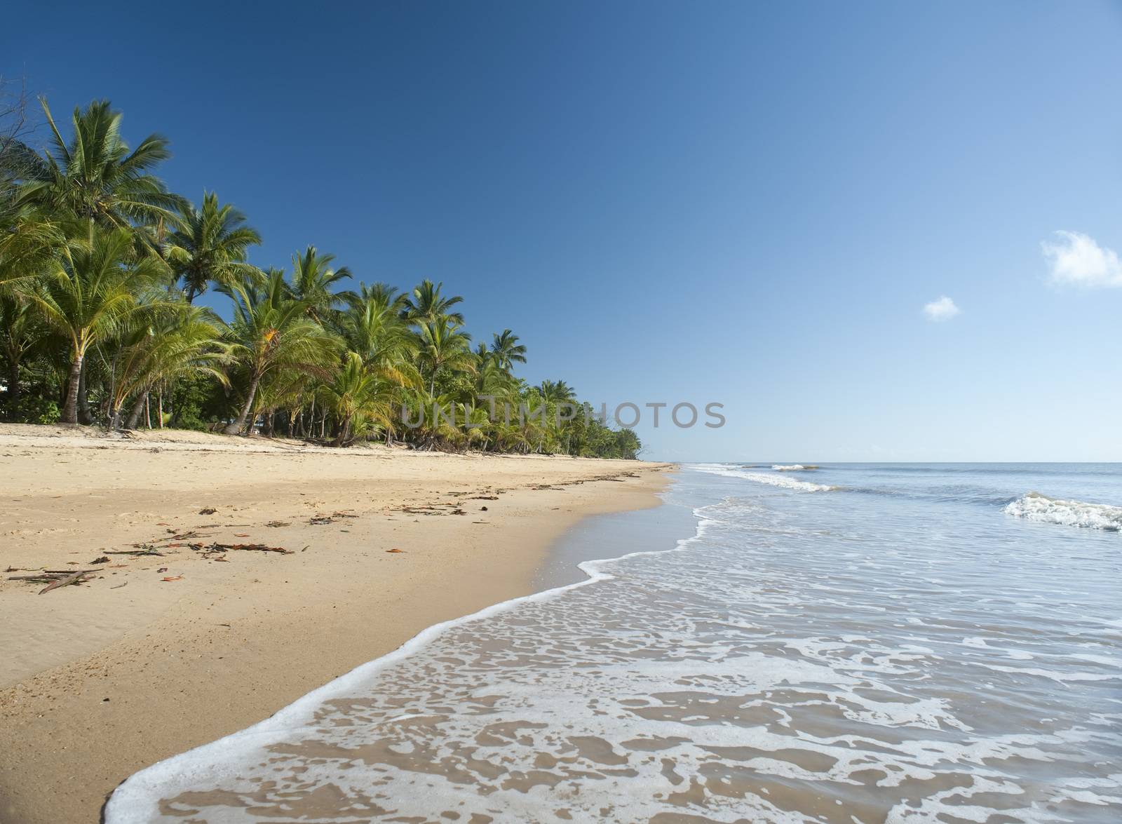 Idyllic tropical getaway at Mission Beach, Queensland, Australia with gentle surf lapping golden sand fringed with lush vegetation and palm trees
