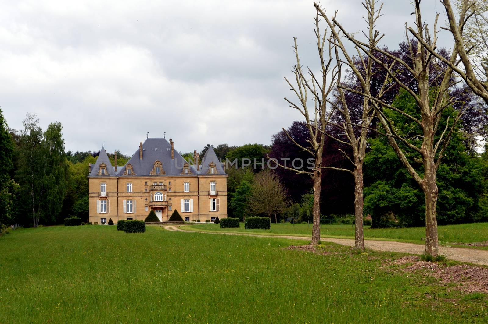 Former castle in the forest with a path of trees and a big lawn.