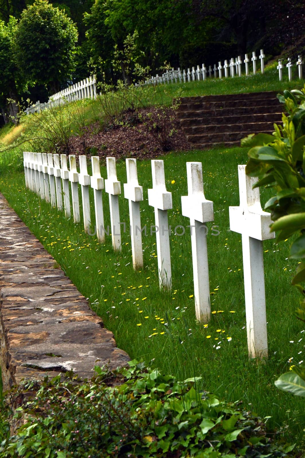 Line of cross white with a French military cemetery