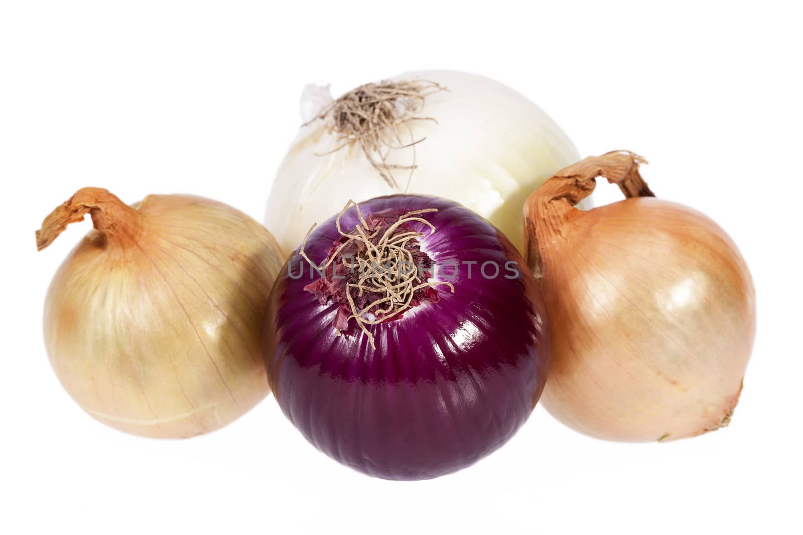 Various types of onions isolated on white background, close up
