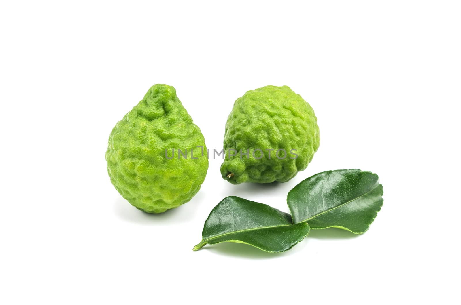 Kaffir lime (Bergamot) isolated on white background