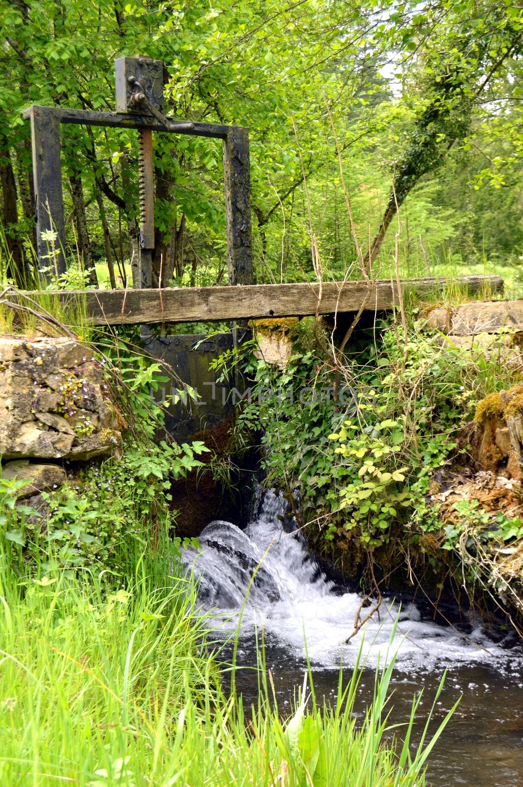 Small lock on a small black brook of color.