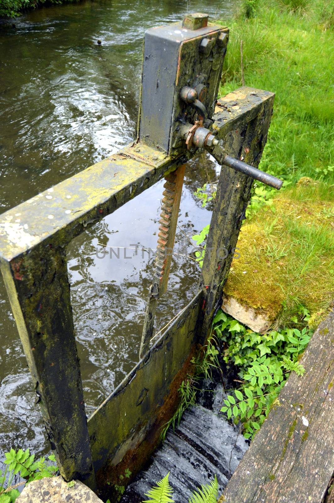 Small lock on a small black brook of color.