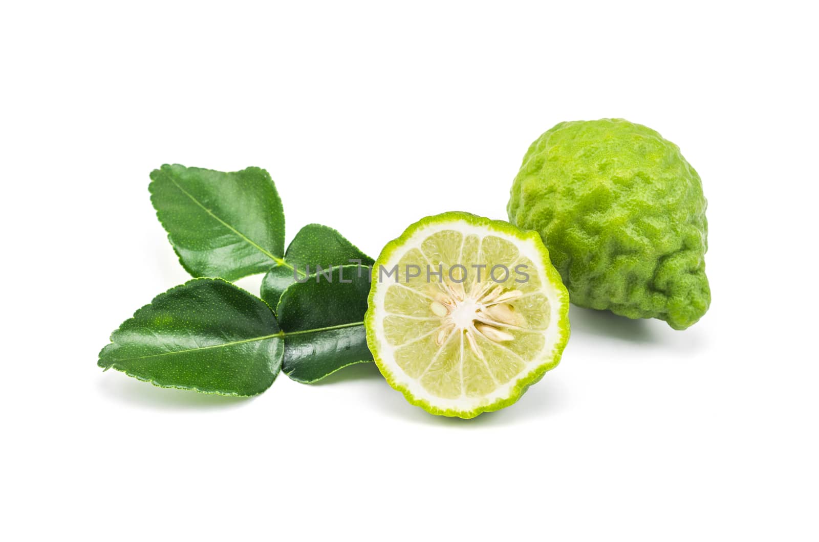 Kaffir lime (Bergamot) isolated on white background