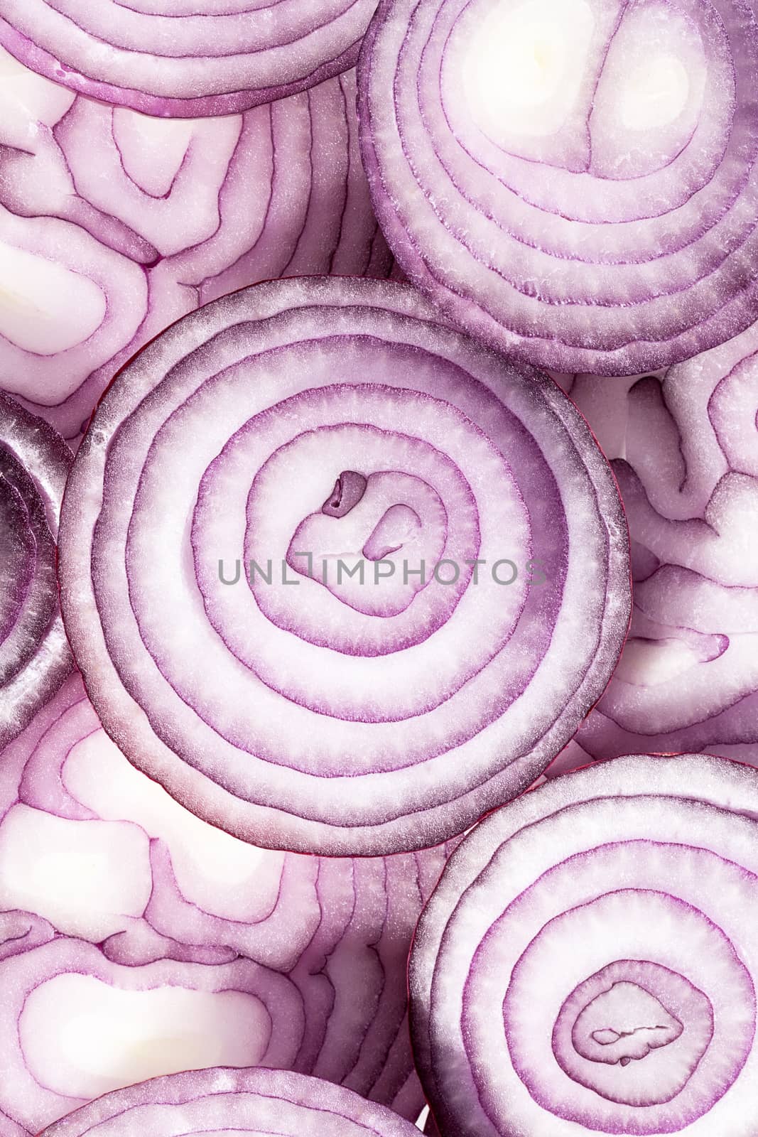 Background of red onion slices by mychadre77
