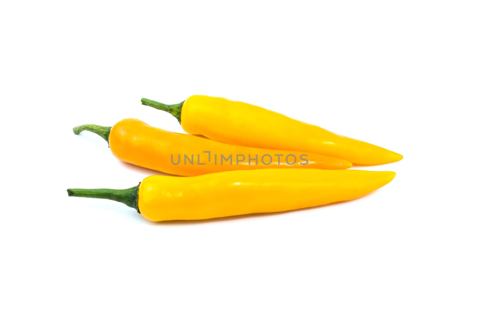 Yellow chilli pepper on white background. by koson