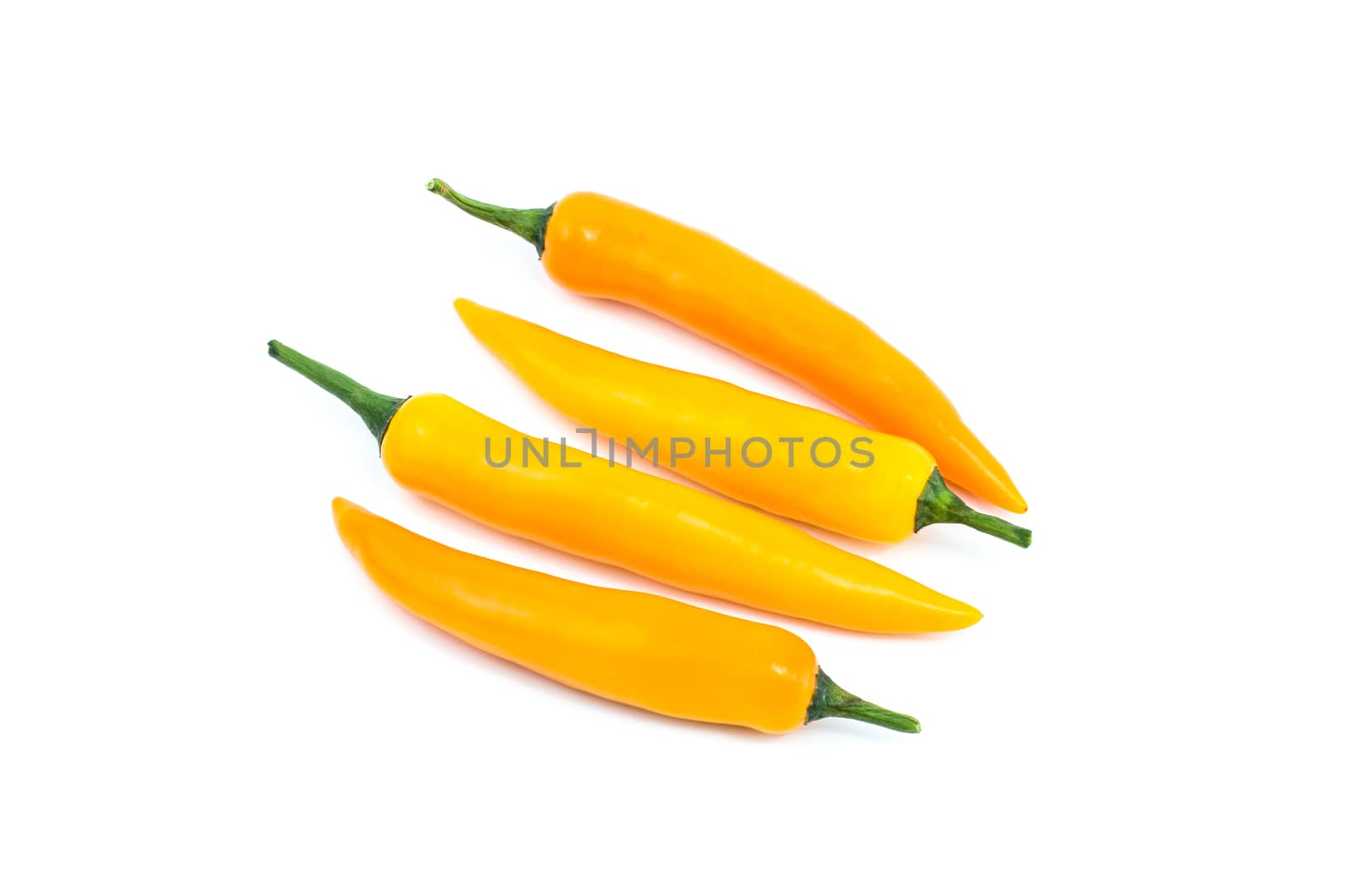 Yellow chilli pepper isolated on white background.