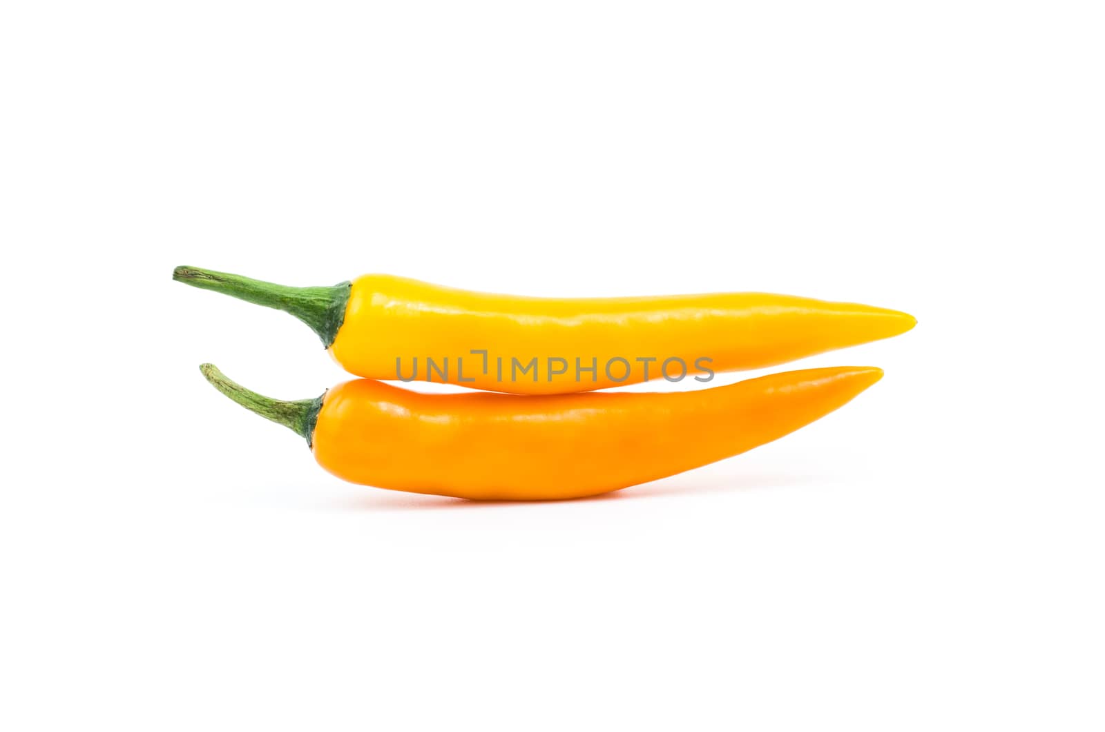 Yellow chilli pepper on white background. by koson