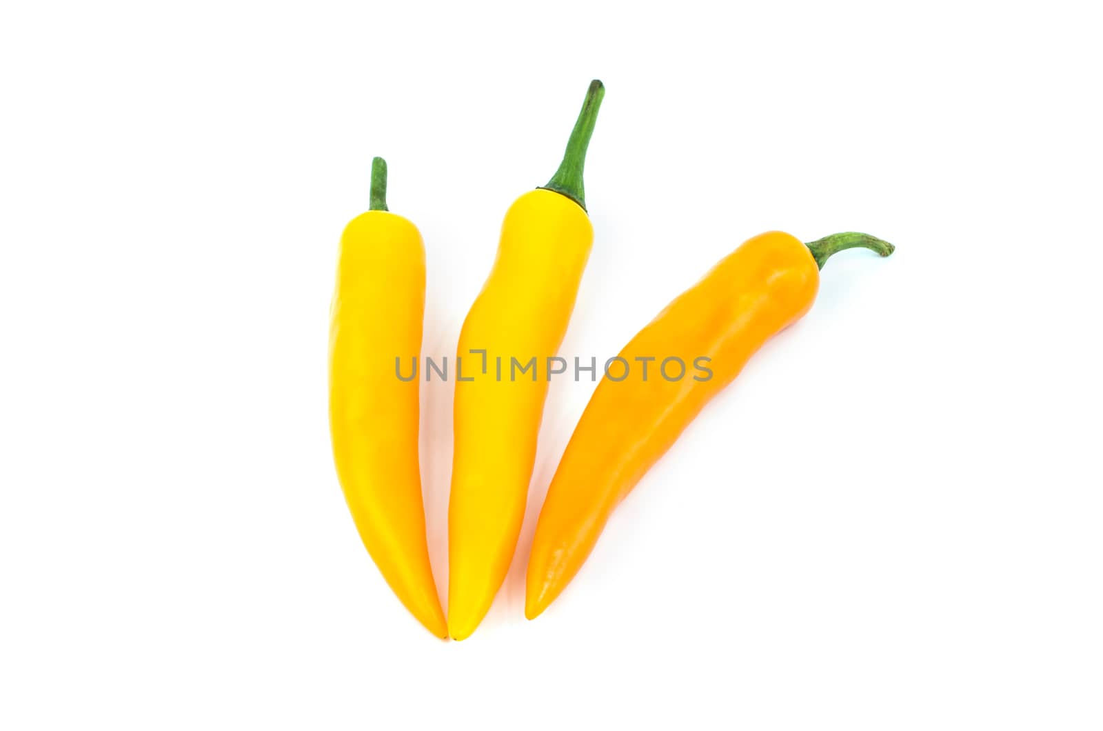 Yellow chilli pepper isolated on white background.