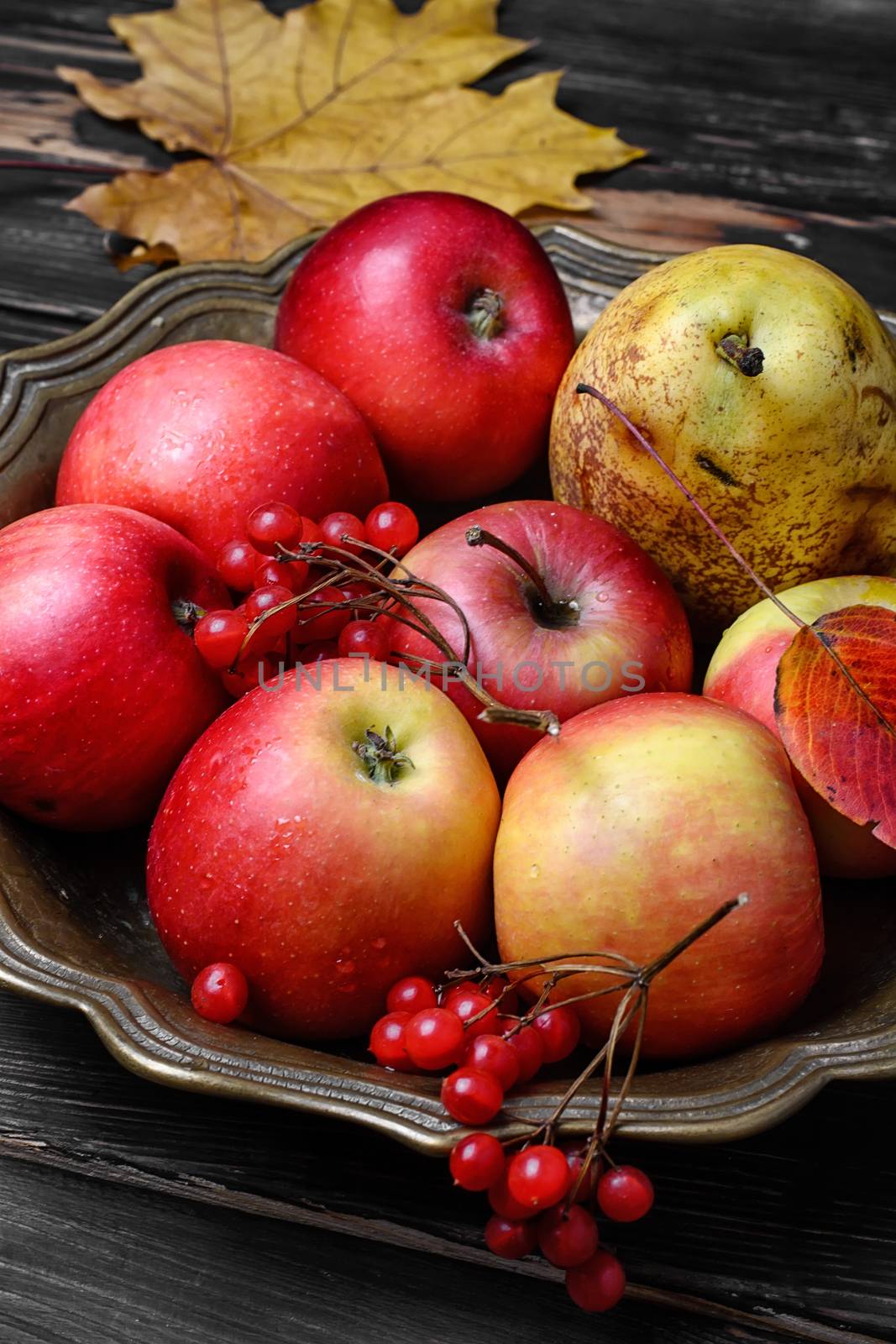 Harvest of juicy autumn apples in vase for fruits