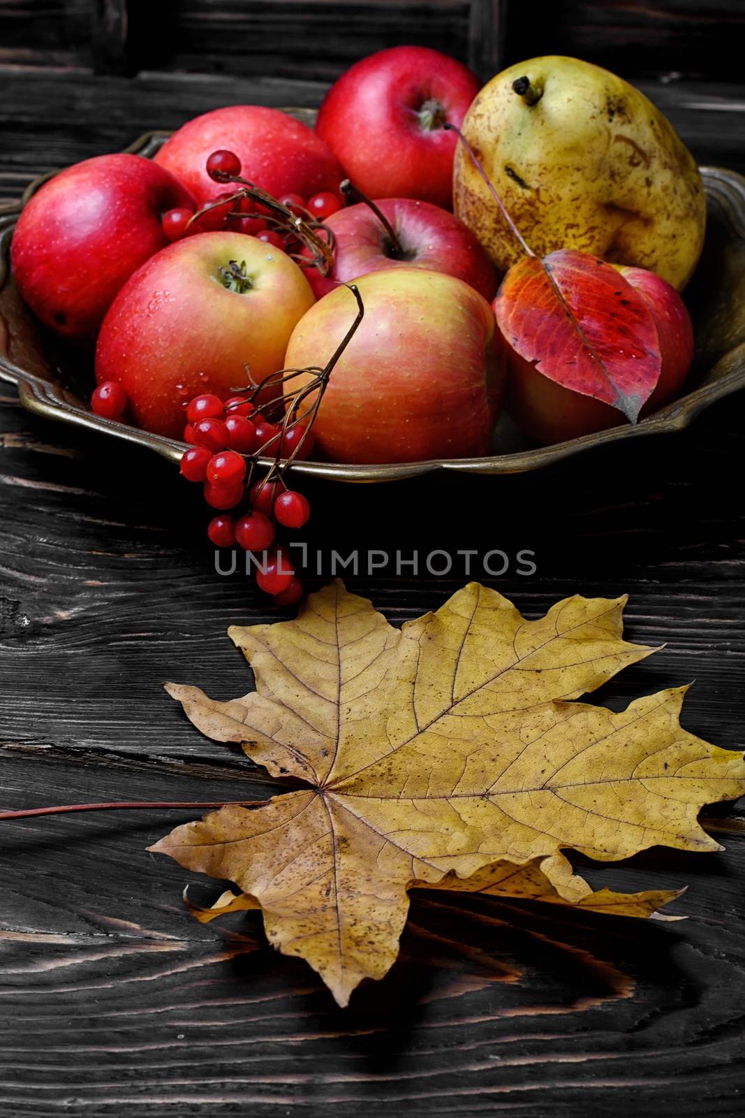 Harvest of juicy autumn apples in vase for fruits