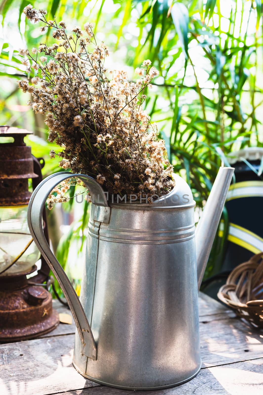 Dried flowers in watering can, old lamp background