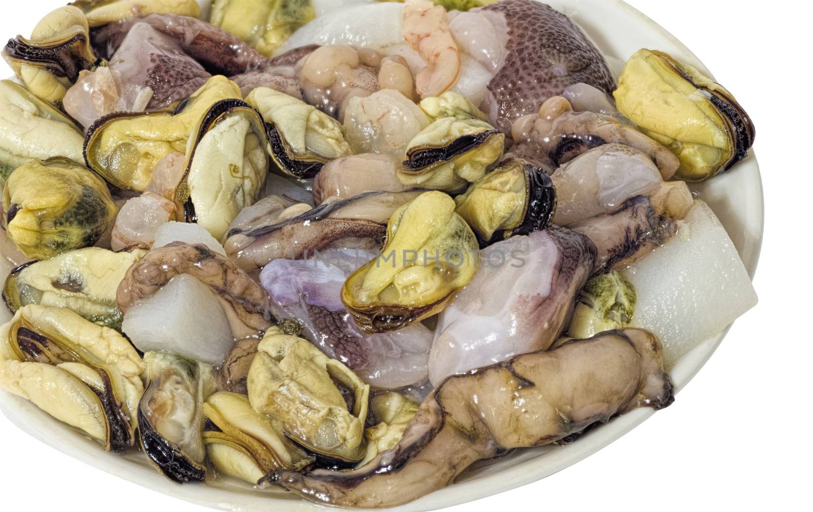 seafood mix of fresh isolate the inhabitants of the sea