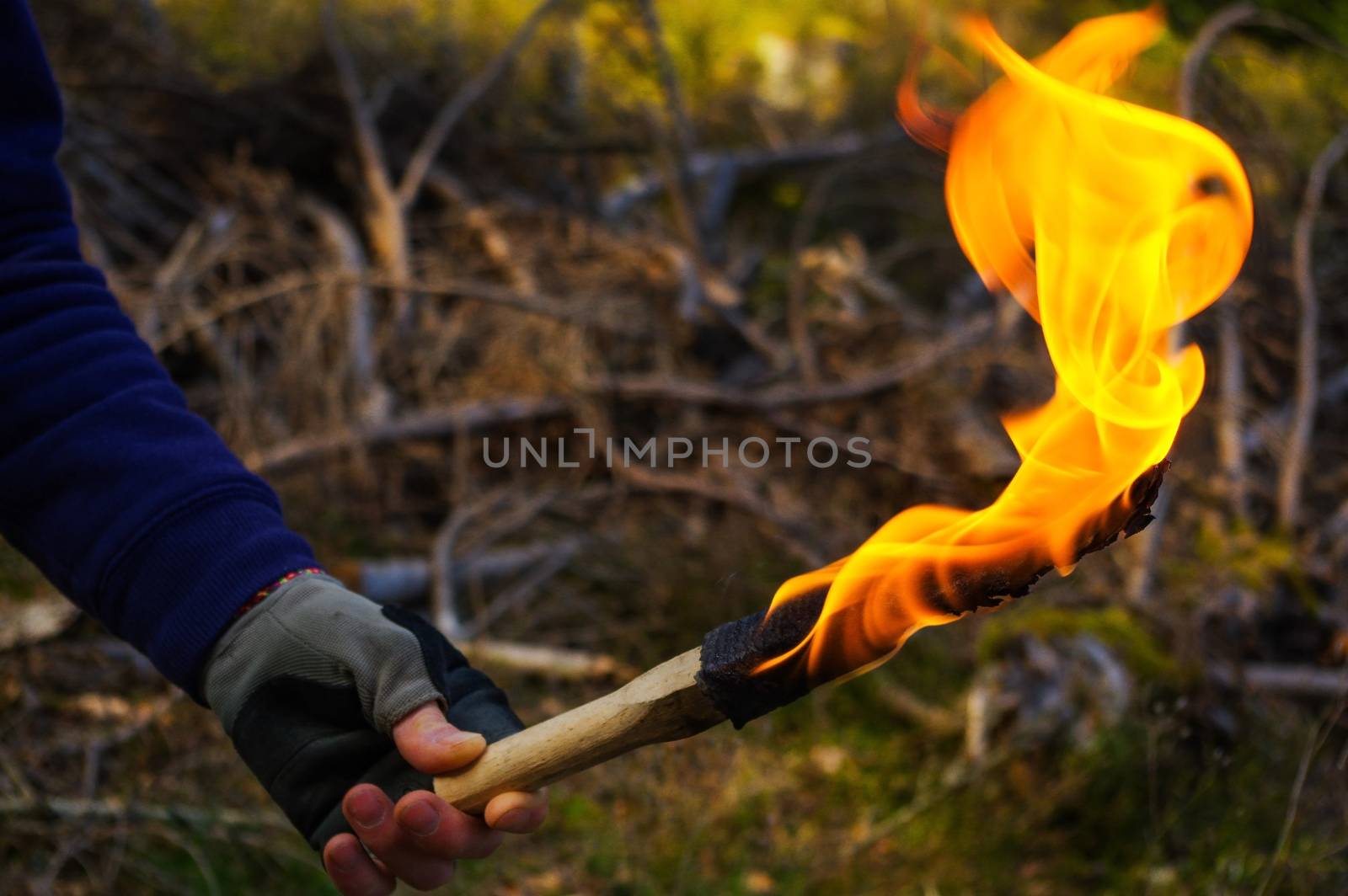part of a man and hand with torch flame in wild nature background. by evolutionnow