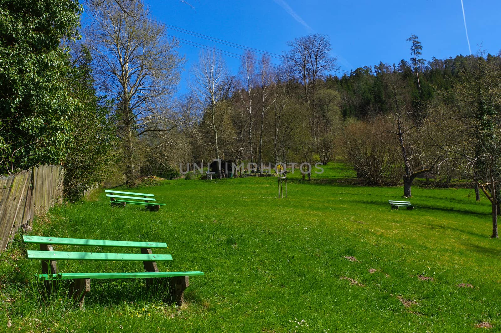 a wooden green bench under trees in the park