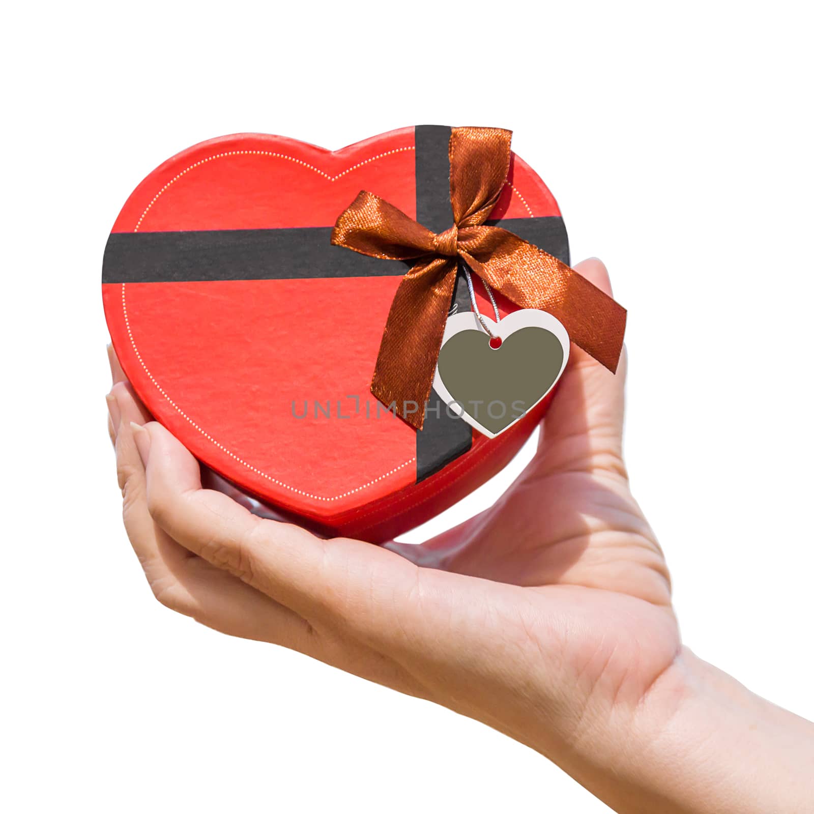 Hand holding a heart shaped box isolated on white background