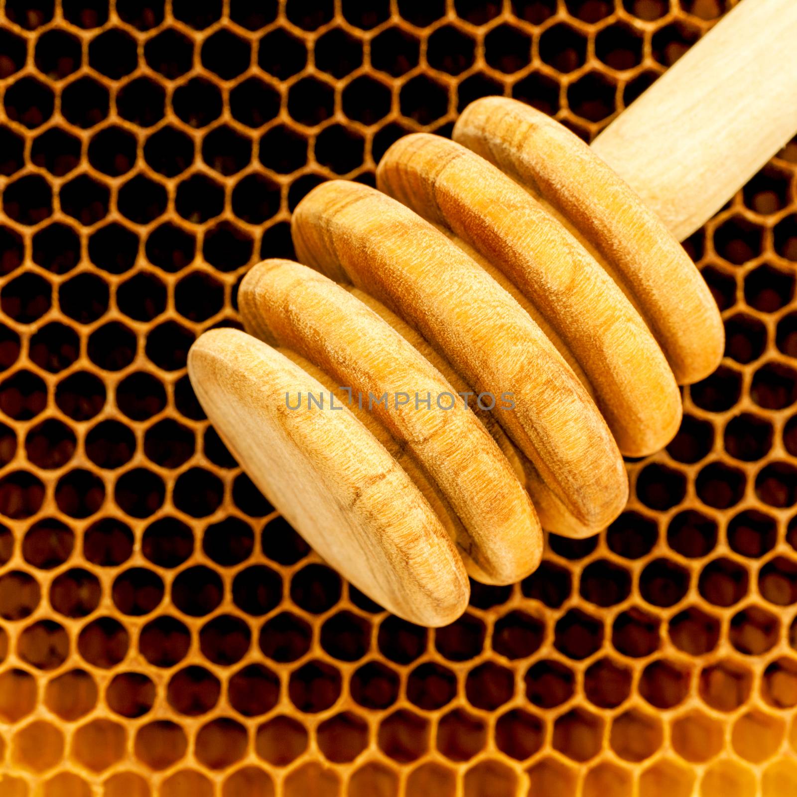 Closeup raw organic Honeycombs . Newly pulled honey bee honeycom by kerdkanno