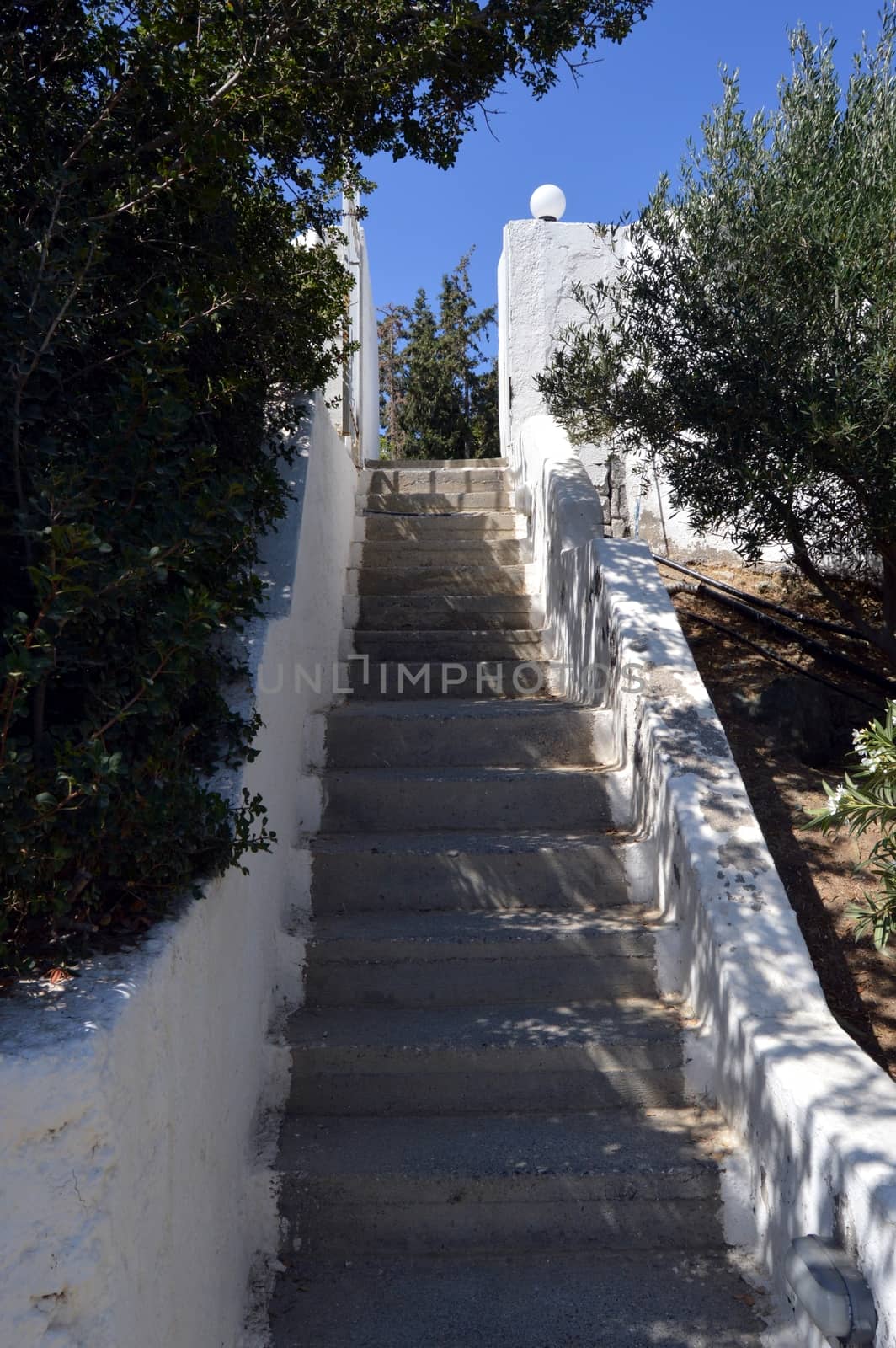One staircases of concrete decorated with two walls white.