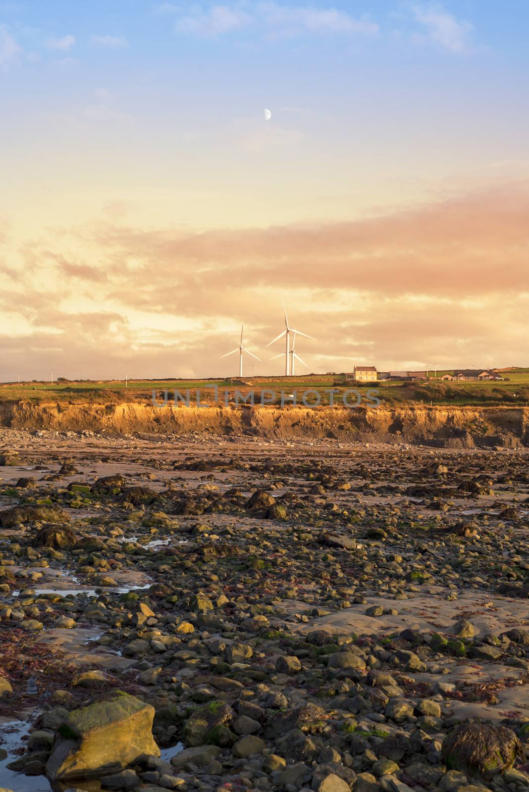 rocky beal beach near ballybunion on the wild atlantic way ireland with a beautiful yellow sunset